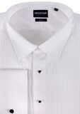 DANIEL HECHTER 5WT FORMAL L/S SHIRT-shirts casual & business-BIGGUY.COM.AU