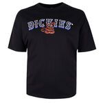 DICKIES TEX SNAKE RELAXED T-SHIRT -new arrivals-BIGGUY.COM.AU