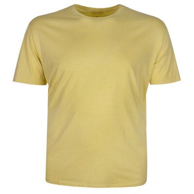GAZMAN BASIC PLAIN 22001 T-SHIRT -tshirts & tank tops-BIGGUY.COM.AU