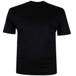 CALVIN KLEIN CHENILLE T-SHIRT-tshirts & tank tops-BIGGUY.COM.AU
