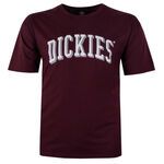 DICKIES 24 BLOCKED LONGVIEW T-SHIRT-tshirts & tank tops-BIGGUY.COM.AU