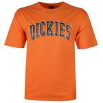 DICKIES 24 BLOCKED LONGVIEW T-SHIRT-tshirts & tank tops-BIGGUY.COM.AU