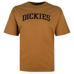 DICKIES COLLEGIATE T-SHIRT-tshirts & tank tops-BIGGUY.COM.AU