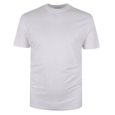 JACK & JONES BRADLEY T-SHIRT-tshirts & tank tops-BIGGUY.COM.AU