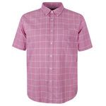 GAZMAN THIN STRIPE S/S SHIRT-new arrivals-BIGGUY.COM.AU