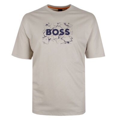HUGO BOSS GRAPH-WEB T-SHIRT-tshirts & tank tops-BIGGUY.COM.AU