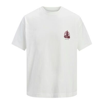 JACK & JONES JORMAINE T-SHIRT-new arrivals-BIGGUY.COM.AU